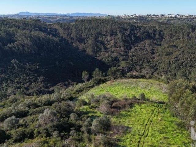 Terreno venda em Monte Godel, Mafra