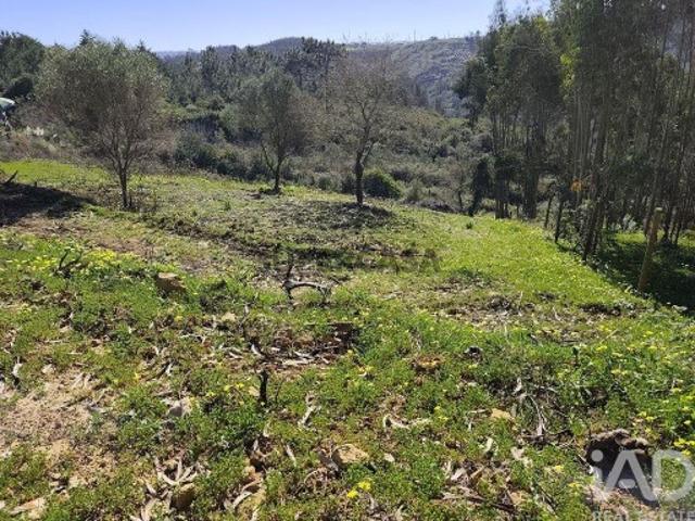 Terreno venda em Rocheira, Mafra