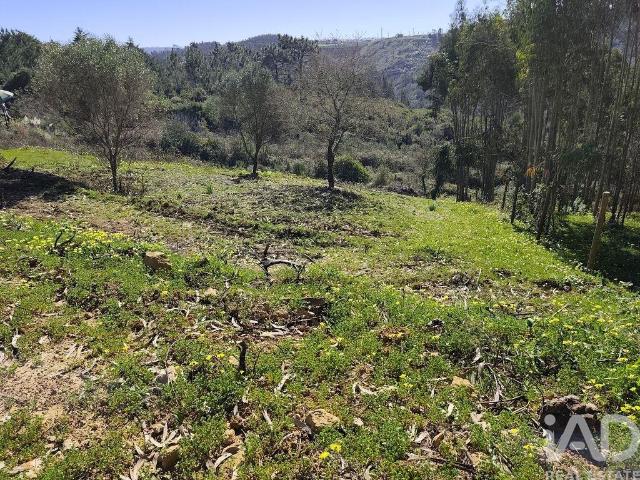 Terreno venda em Rocheira, Mafra