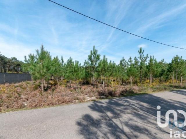 Terreno venda em Marinha Grande, Leiria