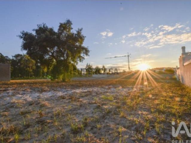 Terreno venda em Embra, Marinha Grande