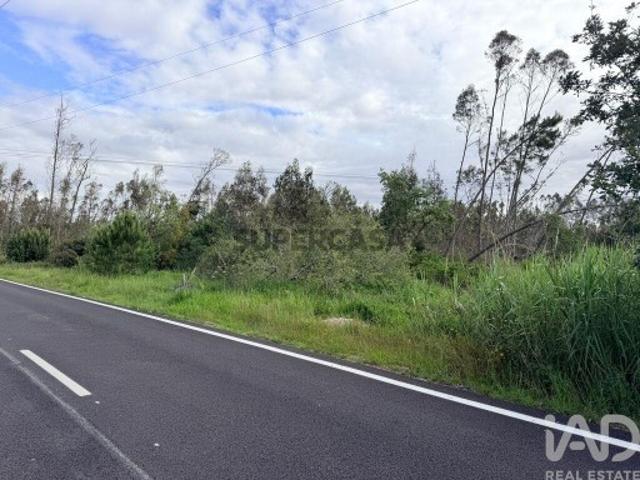 Terreno venda em Pero Neto, Marinha Grande
