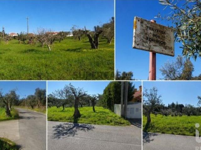 Terreno venda em Torres Novas, Santarém
