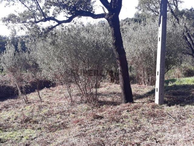 Terreno venda em Monchique, Faro