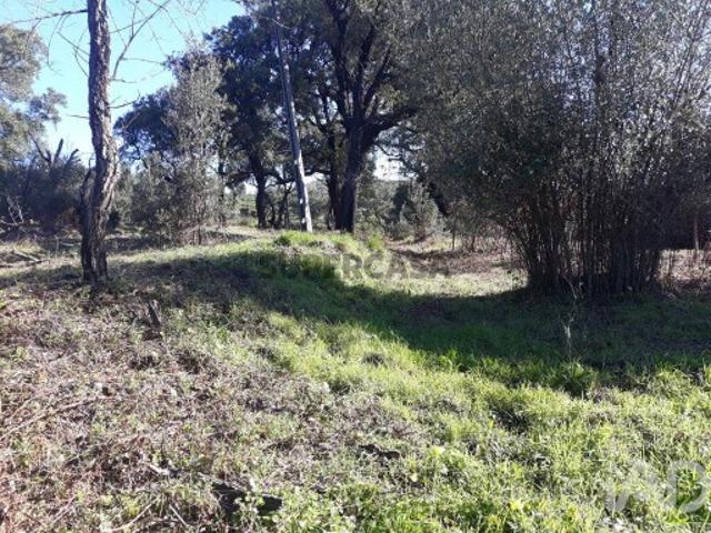 Terreno venda em Monchique, Faro