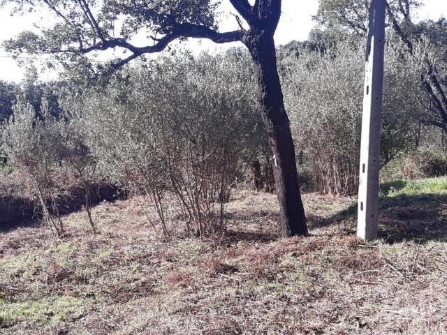 Terreno venda em Monchique, Faro
