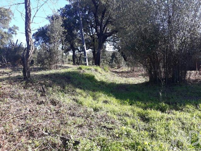 Terreno venda em Monchique, Faro