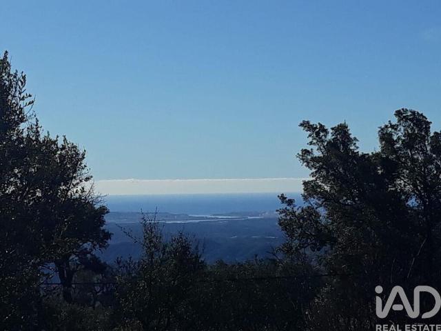 Terreno venda em Monchique, Faro