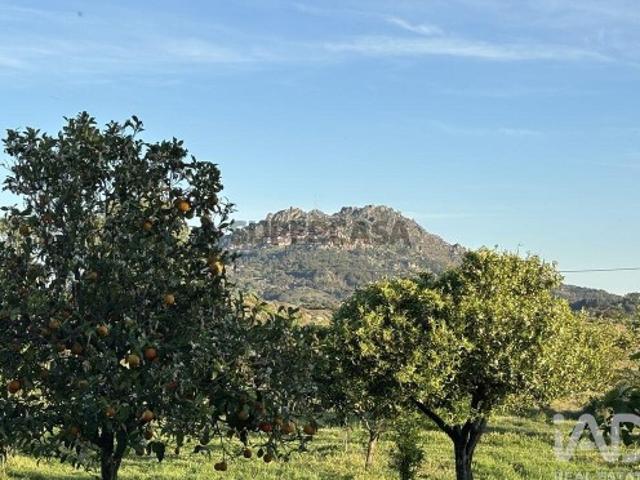 Terreno venda em Castelo Branco, Idanha-a-nova