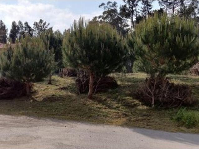 Terreno venda em Outeiro da Fonte, Leiria