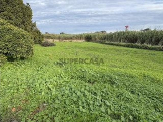 Terreno venda em Portas do Montijo, Montijo
