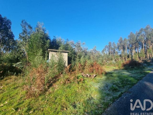 Terreno venda em Mortágua, Viseu