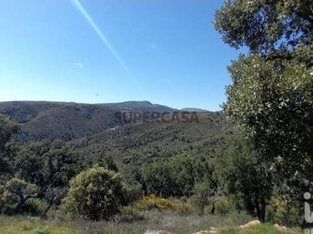 Terreno venda em Torre De Moncorvo, Bragança