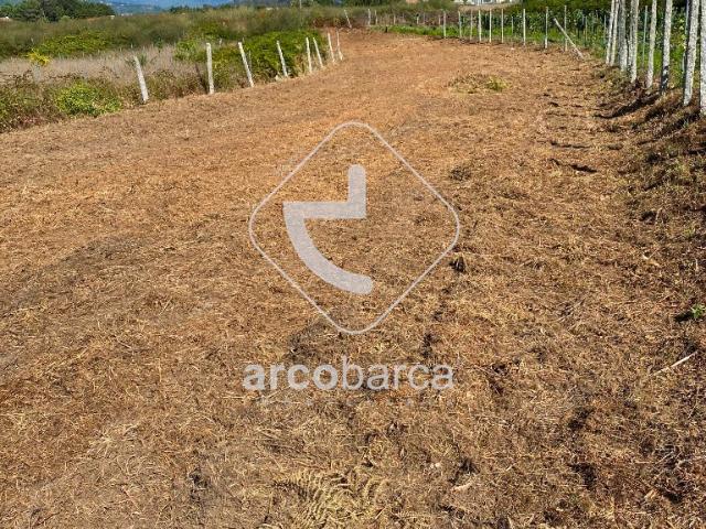Terreno venda em Castelo Branco, Oleiros