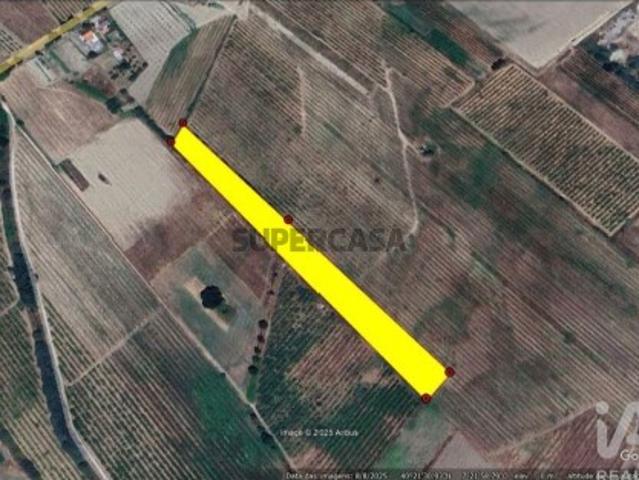 Terreno venda em Castelo Branco, Orjais