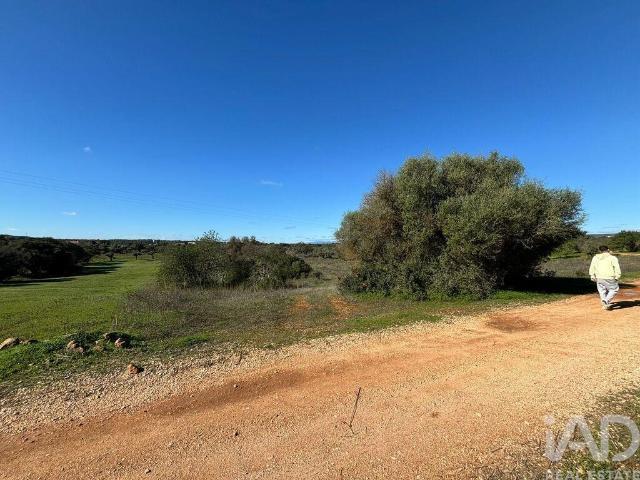Terreno venda em Albufeira, Faro