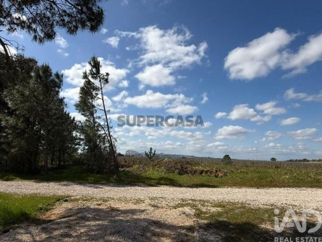 Terreno venda em Palmela, Setúbal