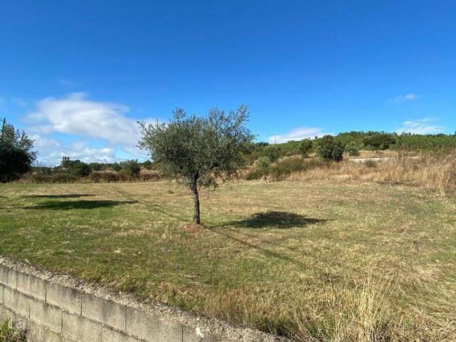Terreno venda em Castelo Branco