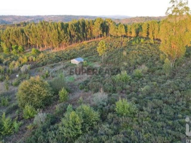 Terreno venda em Guarda, Seia
