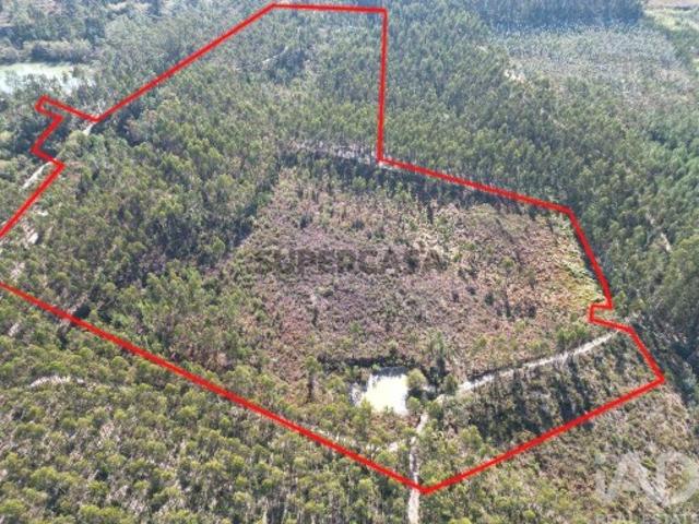 Terreno venda em Pedreiras, Porto de Mós