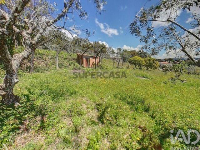Terreno venda em Castelo Branco, Cumeada