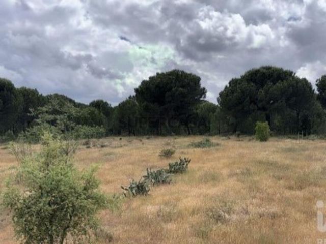 Terreno venda em Montijo, Setúbal