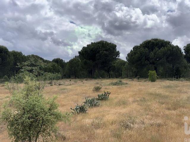 Terreno venda em Montijo, Setúbal