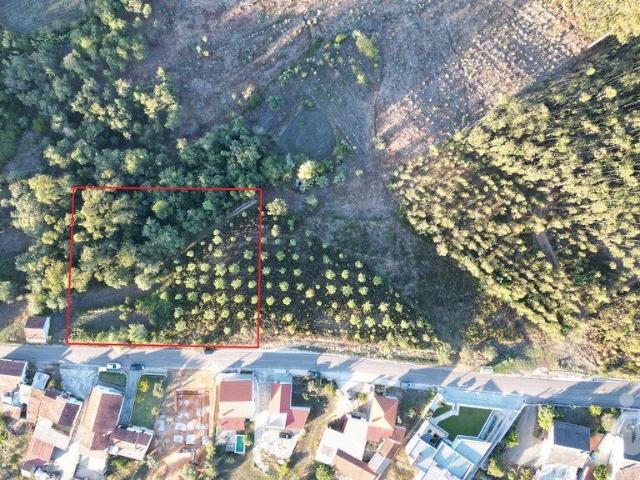 Terreno venda em Pombal, Pelariga