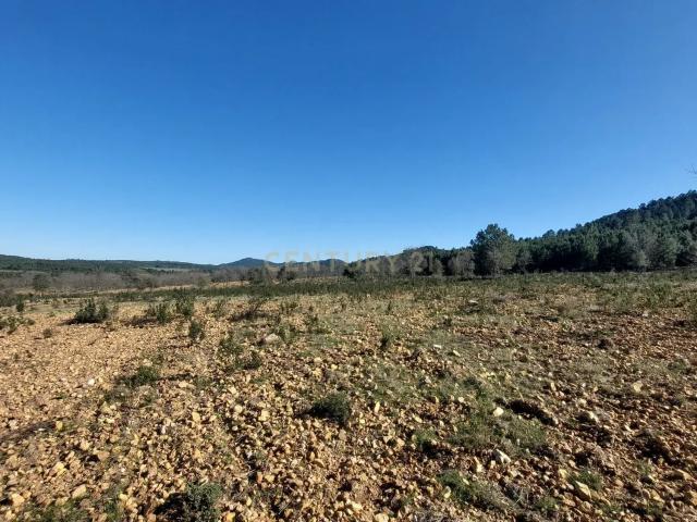 Terreno venda em Castelo Branco, Idanha-a-nova