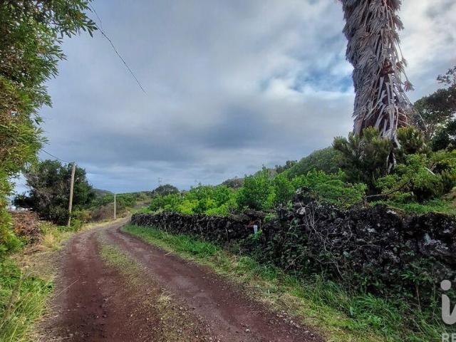 Terreno venda em Açores, Ilha Do Pico