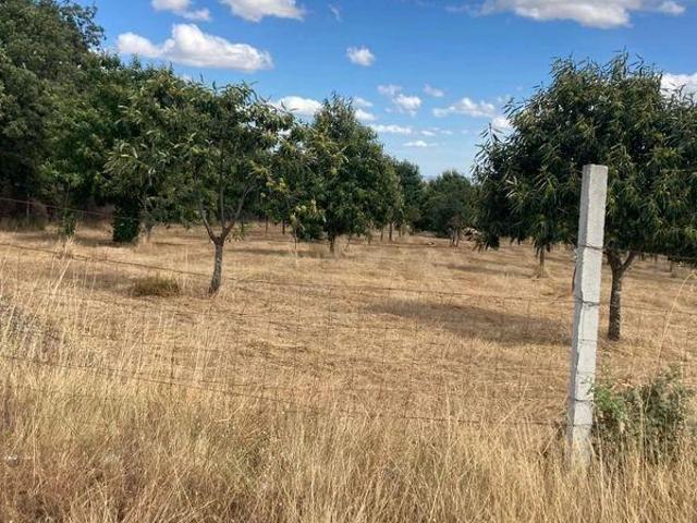 Terreno venda em Bragança