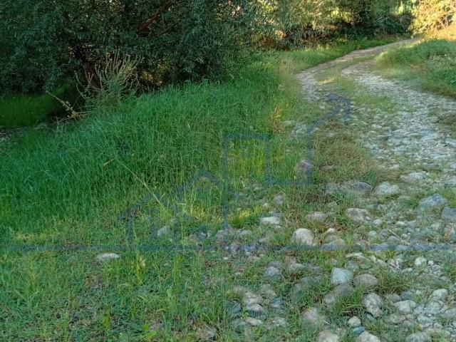 Terreno venda em Horta da Vilariça, Torre de Moncorvo