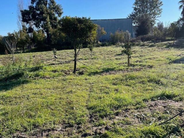Terreno venda em Palmela, Setúbal