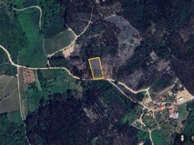 Terreno venda em Penela, Coimbra