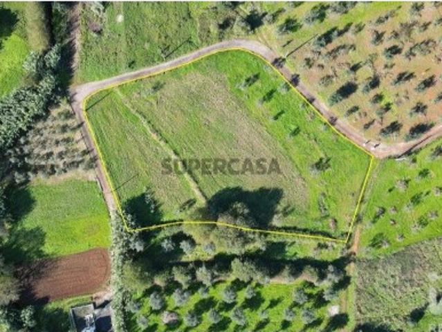 Terreno venda em Penela, Coimbra