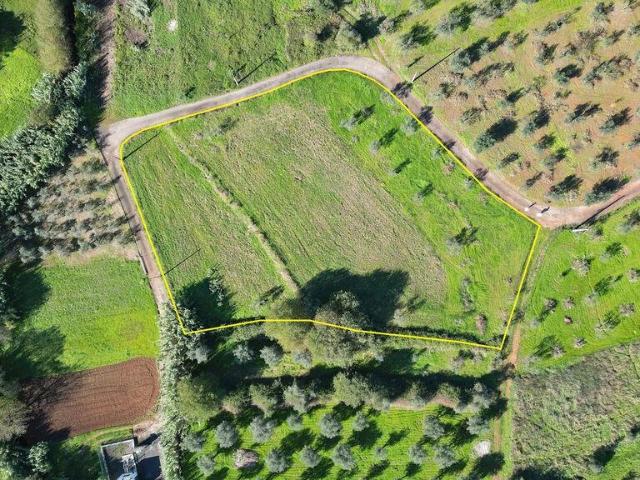 Terreno venda em Penela, Coimbra