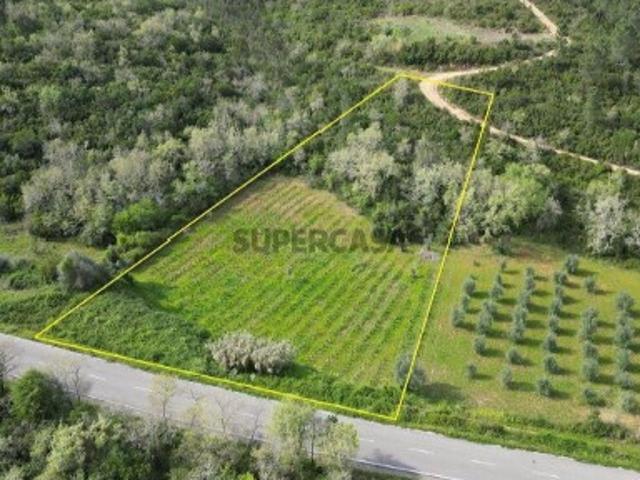 Terreno venda em Penela, Coimbra