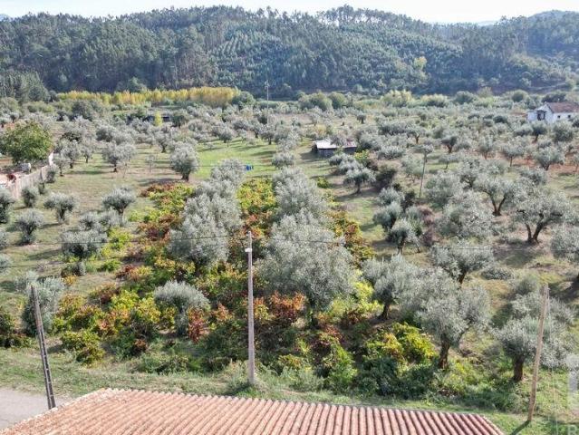 Terreno venda em Penela, Coimbra