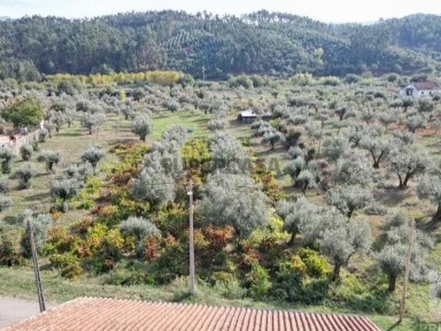 Terreno venda em Penela, Coimbra