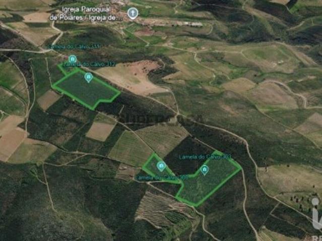 Terreno venda em Poiares, Freixo de Espada à Cinta