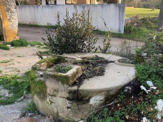 Terreno venda em Pombal, Leiria