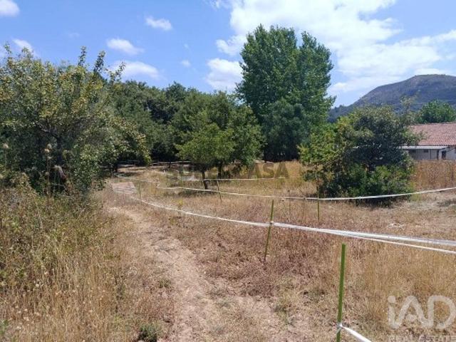 Terreno venda em Portela da Ribeira de Cima, Porto De Mós
