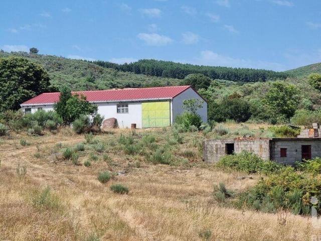 Terreno venda em Guarda, Celorico Da Beira