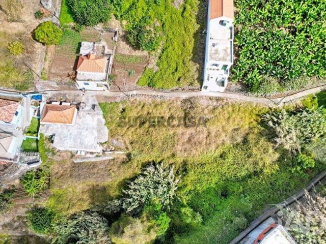 Terreno venda em São João, Ribeira Brava
