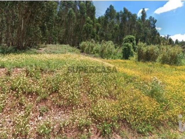 Terreno venda em Rio Maior, Santarém