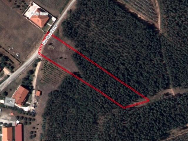 Terreno venda em Rio Maior, Santarém