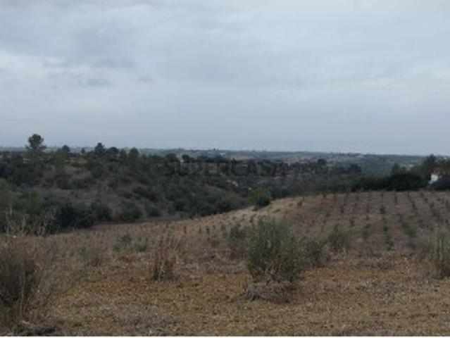 Terreno venda em Achete, Azoia de Baixo e Póvoa de Santarém, Santarém