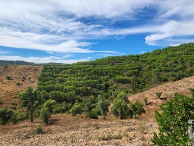 Terreno venda em Messines de Baixo, Loulé
