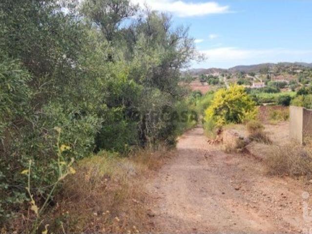 Terreno venda em São Bartolomeu De Messines, Faro