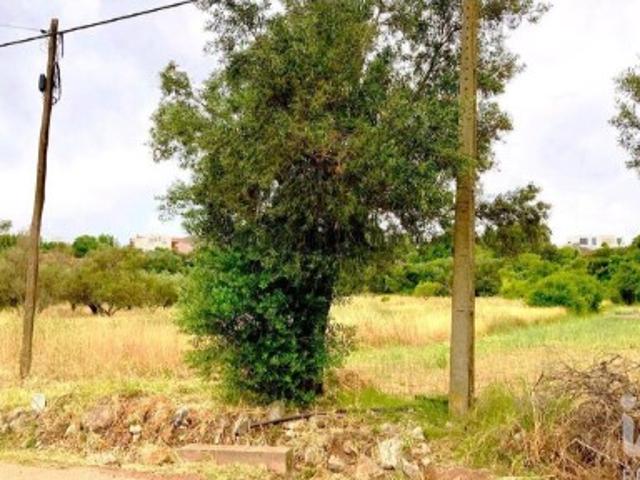 Terreno venda em São Brás De Alportel, Faro